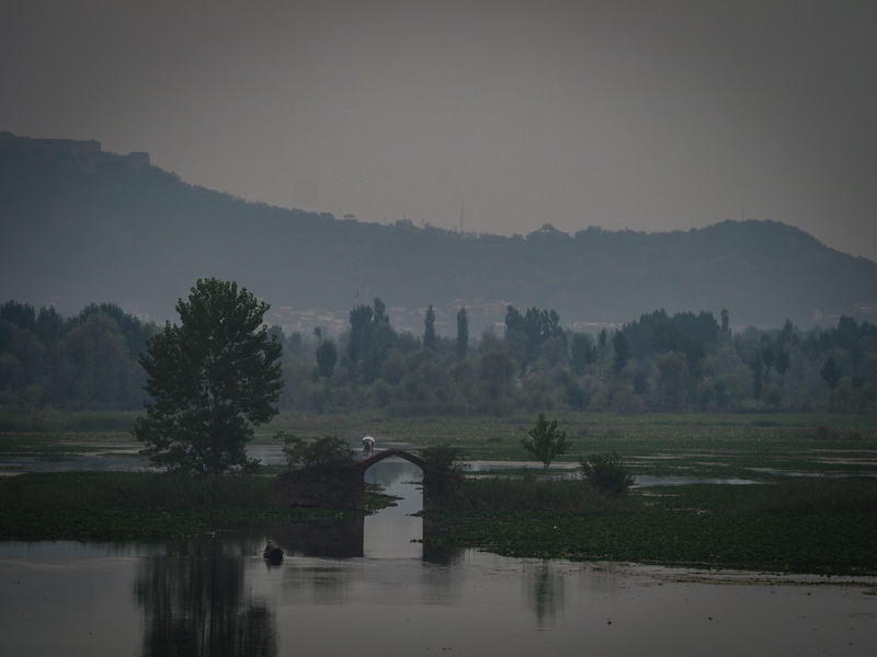 mist, sky, scenics - nature, bridge, fog, arch bridge, non-urban scene, kashmir, ditch, outdoors, abies, fir, scenery, lake near srinagar, plant, beauty in nature