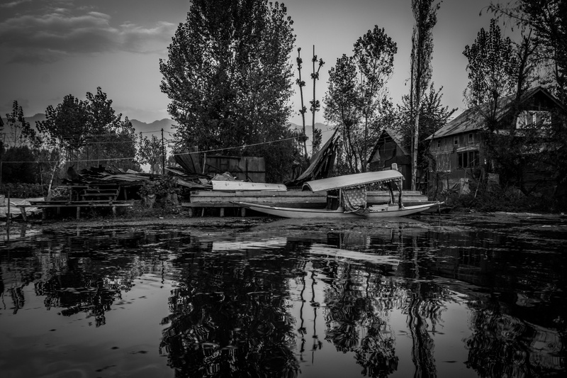 house boats, boat on water, water, passenger craft, tree, architecture, nature, rowboat, no people, reflection, black and white, black and white landscape