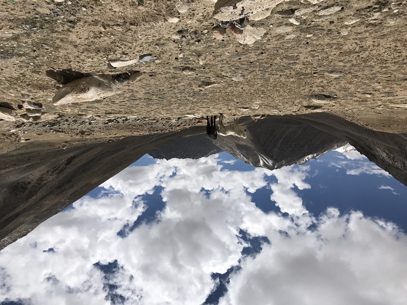 animals in the wild, pets, low angle view, day, cloud - sky, outdoors, sky, one animal, 4K, leh, animal themes, no people, domestic animals, animal wildlife