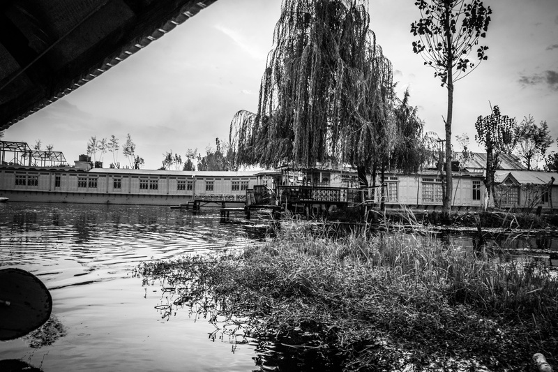 autumn, built structure, cloud - sky, building exterior, day, no people, kashmir, trees, 5K, city, travel photography, reflection, srinagar, wide angle