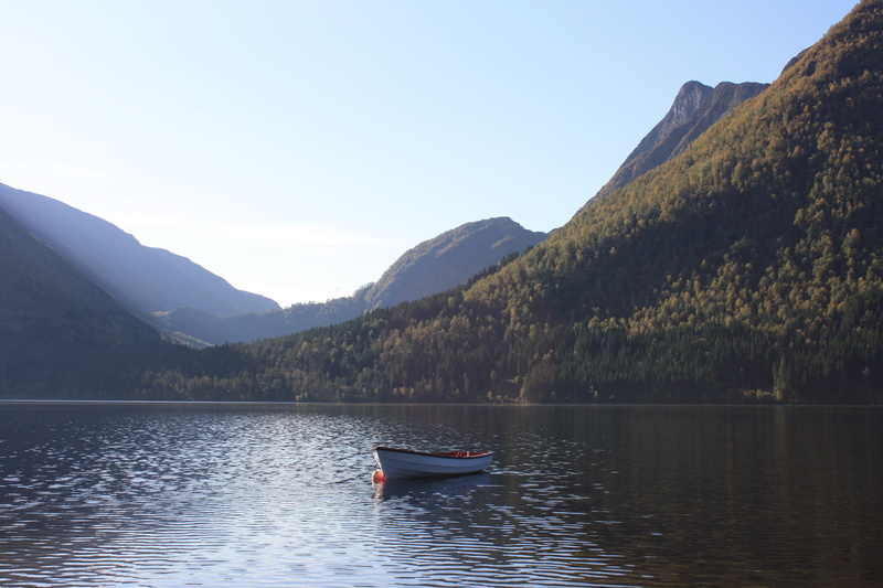 non-urban scene, the nature of the, reflection, tree, nature, fjord, nautical vessel, wave, mode of transportation, scenics - nature, rowboat, cloudless