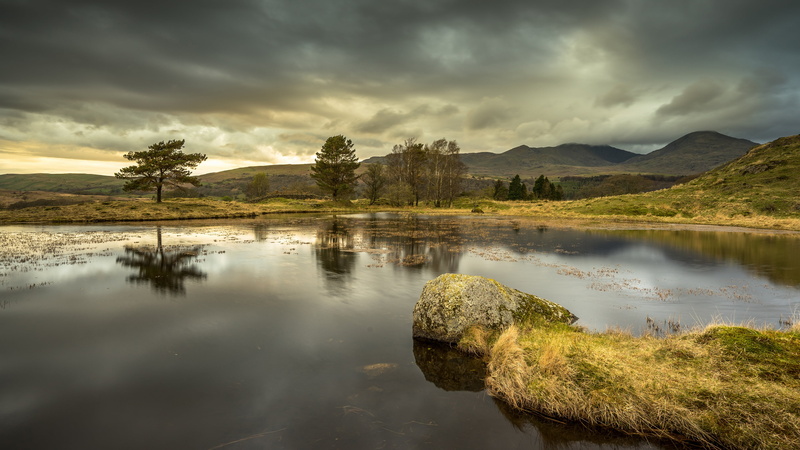 reflection, autumn, algae, pine, hills, lake, river, overcast, frowning, forest, the sky, spaces, stones, dal, nature, mountains, tree, landscape, 4K