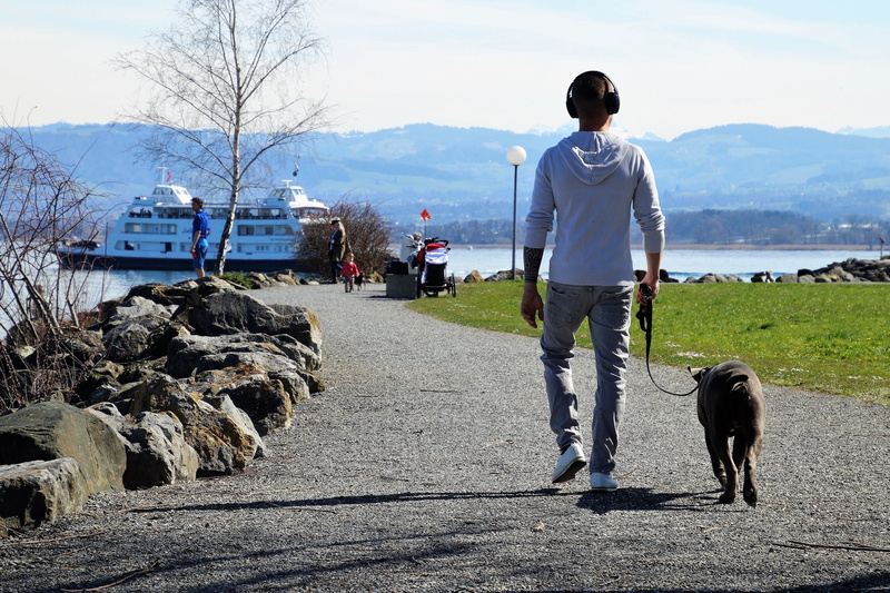 panoramic, port, relax, style, tree, the path, the silence, sunny, lawn, hiking trails, ferry, lifestyles, animal themes, real people, romanshorn, a summary of the