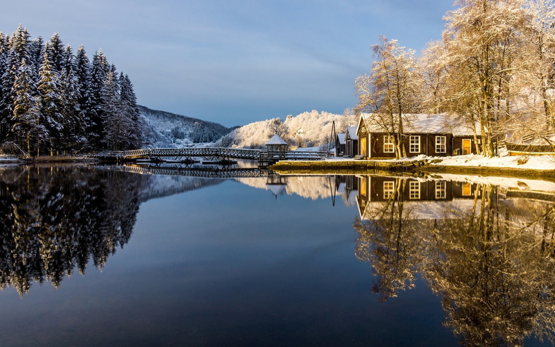trees, plant, 1080P, tranquility, scenics - nature, no people, sky, brown, beauty in nature, outdoors, architecture, standing water, snow, built structure