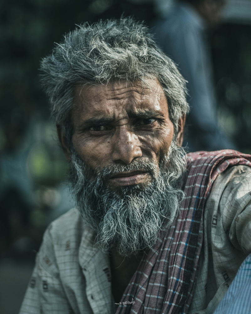 hair, senior men, men, person, looking at camera, head, focus on foreground, looking, males, adult, beard, facial expression, portrait, front view, mature men