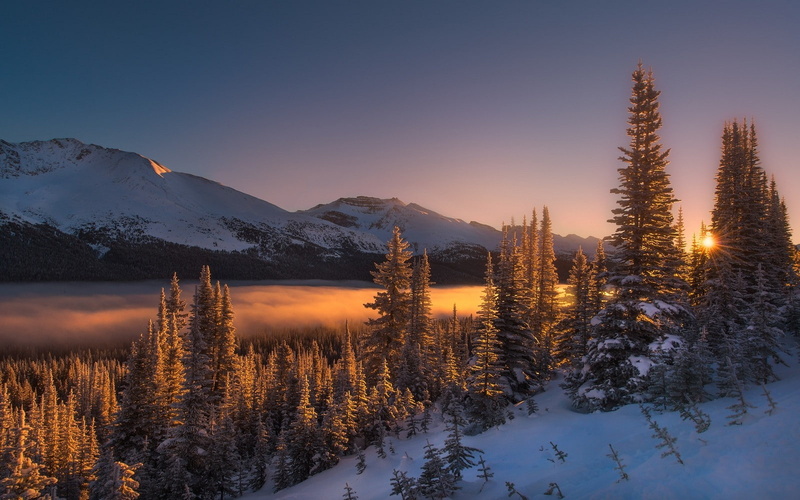 mountain, cold temperature, no people, forest, tree, tranquil scene, winter, pine tree, non-urban scene, nature, tranquility, sky, landscape, mist, mountains