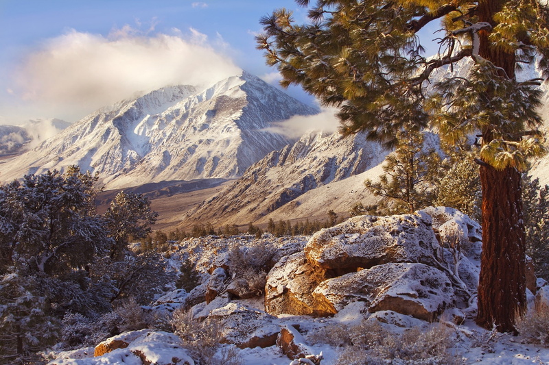 far view, California, winter, brown, beige, 1080P, plant, day, landscape, beauty in nature, nature, shrubs, tranquil scene, non-urban scene, tree, cold temperature