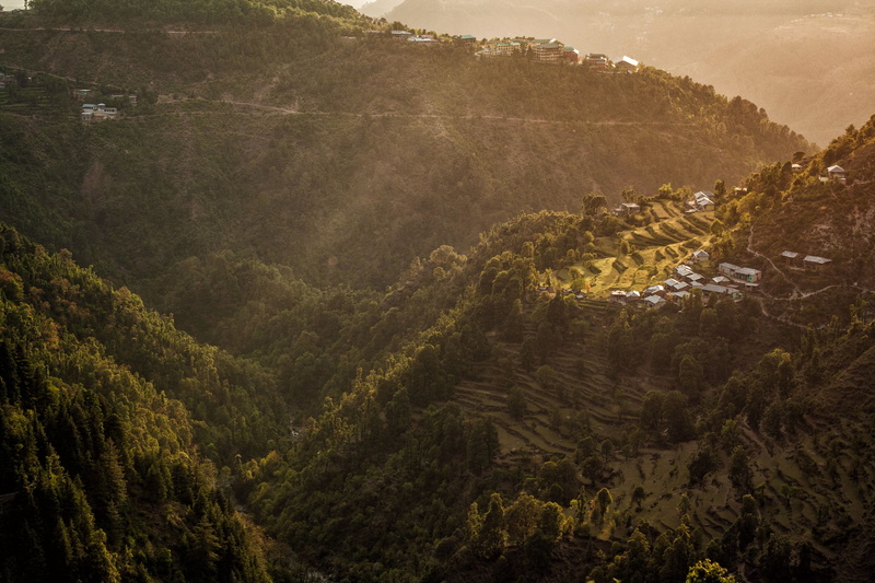 himalayas, tree, nature, day, landscape, growth, village, plant, dharamshala, forest, information center, rainforest, scenics - nature, mountain range
