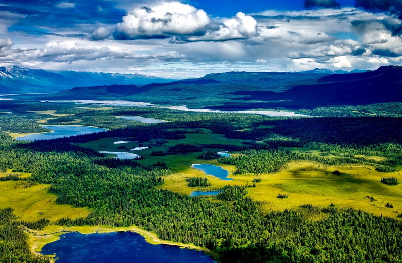 outdoors, tranquility, Denali, Woods, 1080P, Travel, national, Scenery, tree, nationalpark, mountain, sky, park, no people, plant, mountain range, Alaska