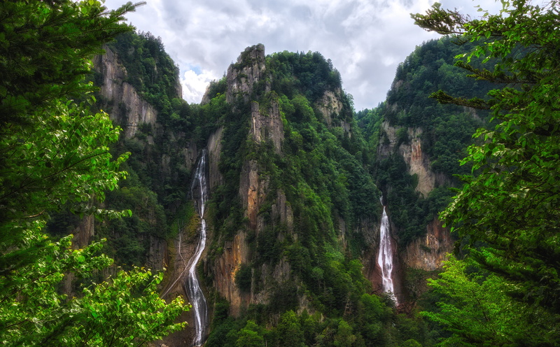 nature, non-urban scene, forest, environment, growth, National, Park, green, leaf, tree, water, nationalpark, District, scenics - nature, kamikawacho, rainforest