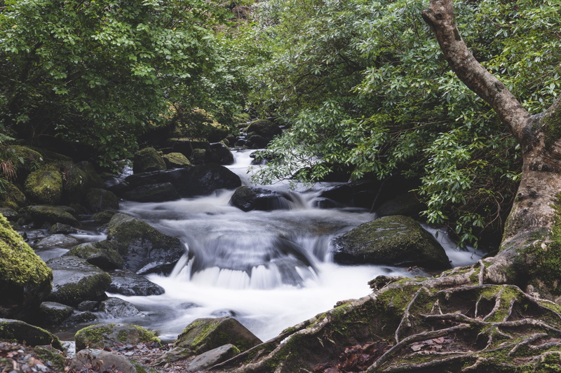 solid, killarney, motion, rocks, scenics - nature, power in nature, water, flowing water, torc waterfall, 5K, nationalpark, waterfall, ireland, flow, flowing