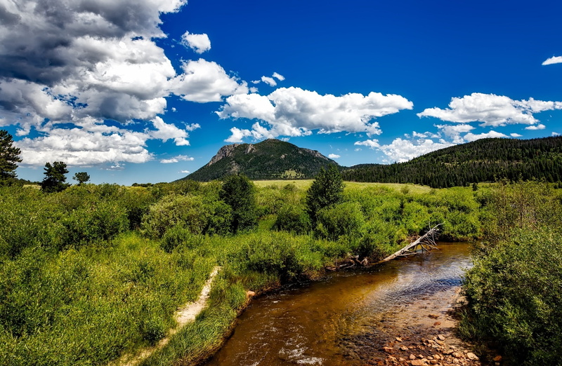tree, Outdoor, mountain, green, Colorado, bluesky, national, Valley, grass, Nature, Stream, non-urban scene, landscape, Travel, water, tranquil scene, Creek