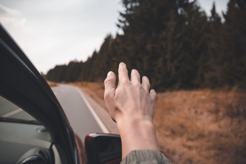 vacations, driver, wind, hand, journey, caucasian Ethnicity, forest, s, summer, road, wing, sitting, photography, transportation, hear, males, land Vehicle