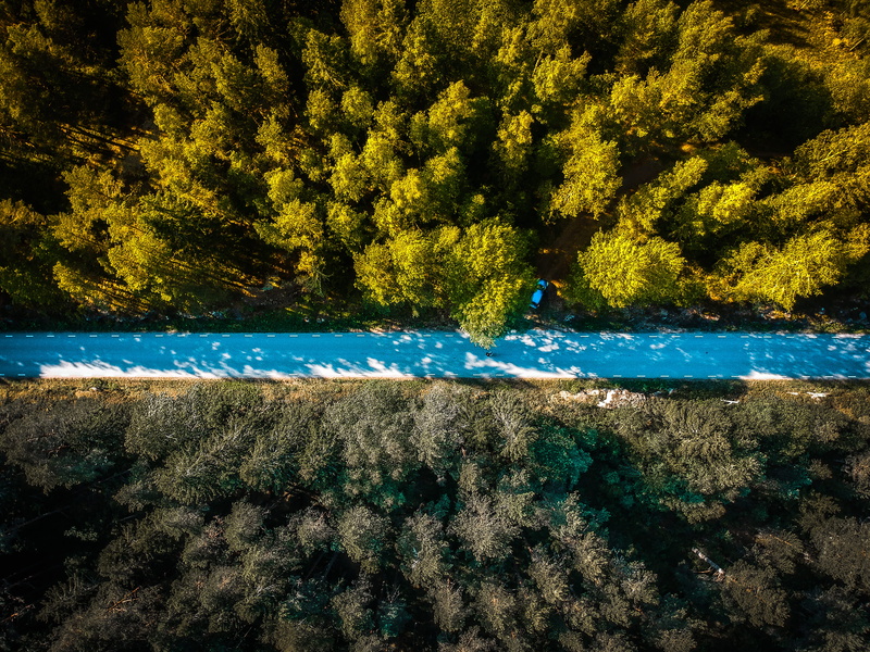 woods, non-urban scene, tree, bluecar, beauty in nature, land, real people, outdoors, blue, beach, 4K, tranquility, tivedens nationalpark, sea, sweden