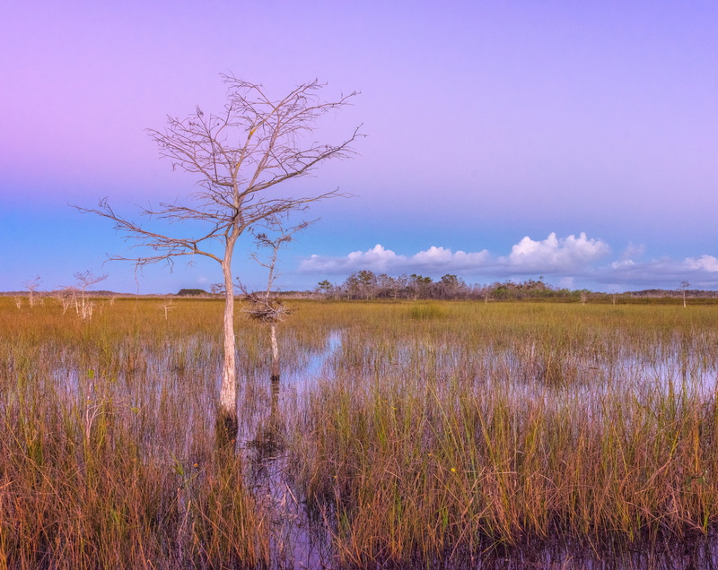 plant, twilight, Landscape, scenics - nature, Park, tranquil scene, non-urban scene, payhaokee, national, Waters, seaofgrass, field, tranquility, wetlands