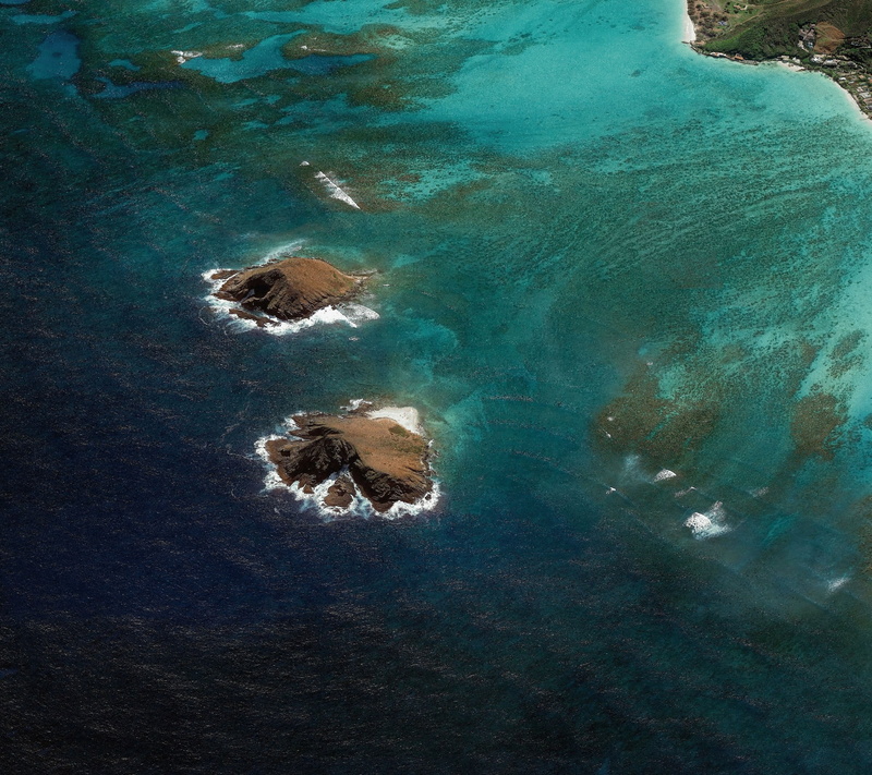 1080P, nature, turquoise colored, blue, body, animal themes, aerial view, animal wildlife, land, rock, material minimal, waterfront, Google, photography
