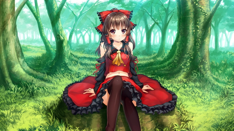 forest, hakurei, anime girls, girls, hakurei reimu, anime, reimu, 1080P, touhou