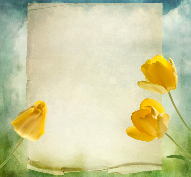 greeting, yellow, flowers, 2K, tulips, greetings, card