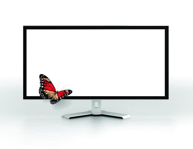 screen, white background, equipment, backgrounds, desktop PC, isolated, animal wing, image, electrical Equipment, pC, 1080P, animal, liquid-Crystal Display