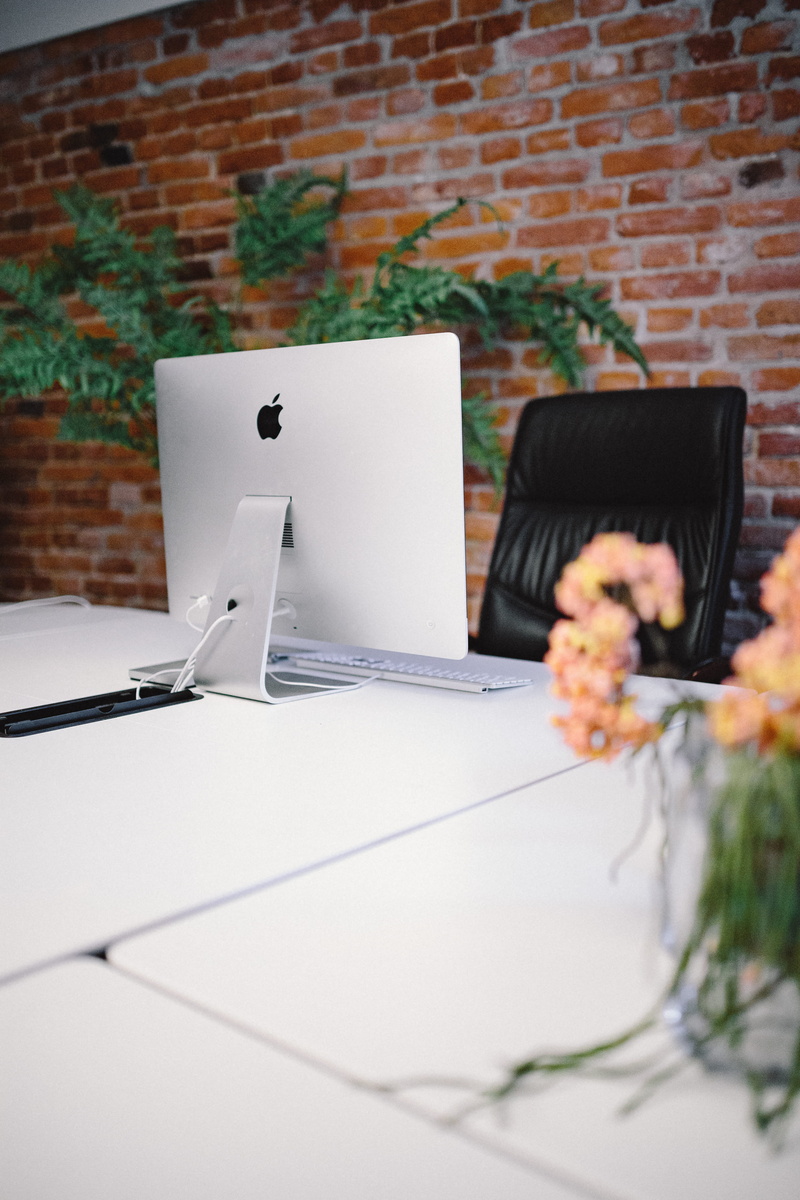indoors, flowering plant, furniture, workspace, bricks, laptop, brick, blank, communication, technology, nature, computer, computers, no People, Modern