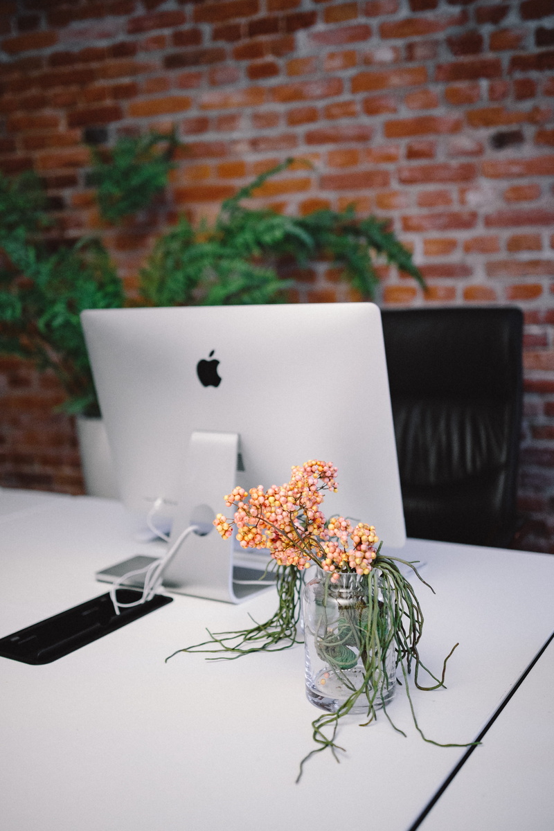 fragility, plant, bricks, office, vintage, food, flower head, white color, lamp, business, brick, food and drink, Modern, clean, flower, iMac, workplace