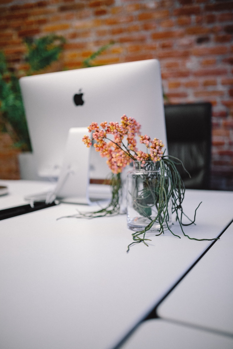 wireless technology, still life, flower, white color, loft, vulnerability, workspace, freshness, wall, clean, old, celebration, flower arrangement, lamp