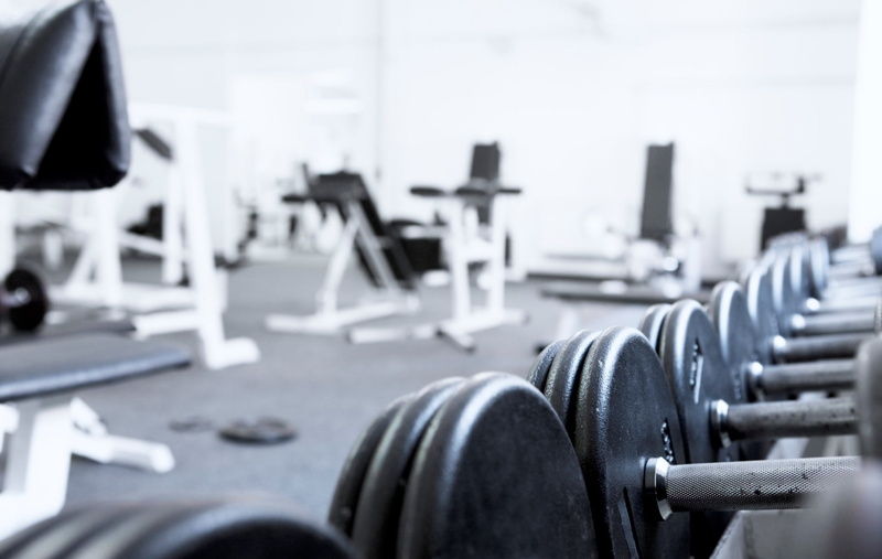 muscular build, indoors, sports equipment, strength, gym, healthy lifestyle, sport, weights, vitality, fitness time pictures for background, dumbbell, weight training
