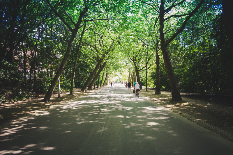 leisure activity, walking, person, 4K, real people, path, jogger, amsterdam, shade, direction, transportation, light, runner, sunlight, parc, outdoors