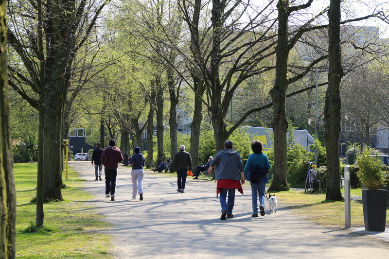 green, fit, footpath, sunny, park, outside, jogger, activity, humans, nature, fitness, happy, season, environment, lifestyle, day, growth, trees, outdoors