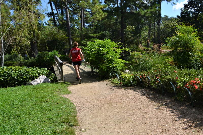 men, bridge, one person, fit, healthy, tree, black, jogging, trees, athlete, blue sky, leisure activity, female jogger, lifestyle, flowers, women, young