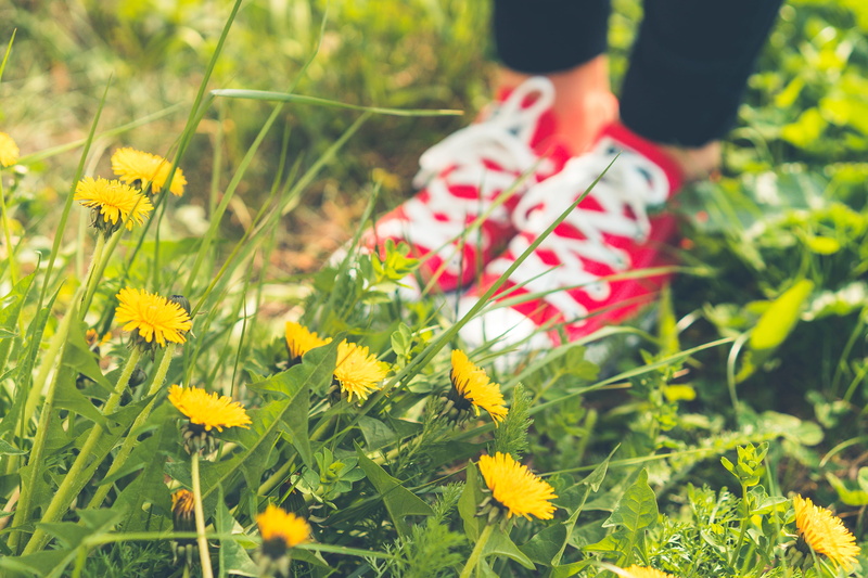 Dandelions, one Person, shoe, springtime, people, woman, nature, females, growth, Shoes, 4K, child, human Foot, day, flower, close-up, running, leisure activity