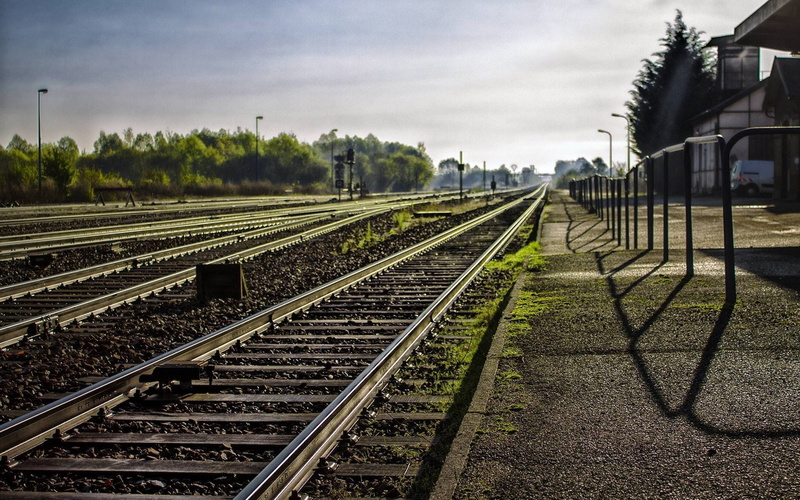 sunlight, railway station, railway, moss, 1080P