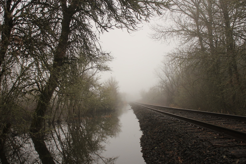 spooky, 5K, fog, day, tranquil scene, railroad track, sky, vanishing point, long, transportation, plant, diminishing perspective, reflection, canal, nature