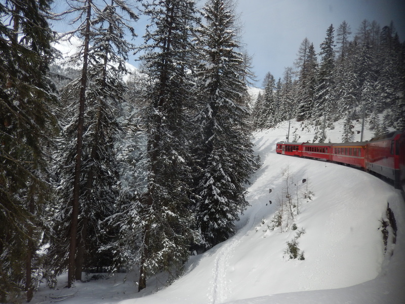 rhaetian, white color, ferrovia retica, Rhaetian Railways, rail transportation, graub, transportation, nature, outdoors, land, pine tree, 4K, beauty in nature
