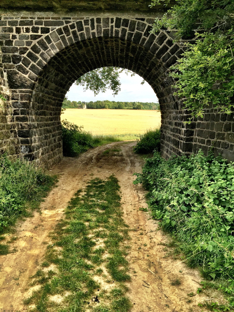 growth, direction, outdoors, tranquility, arch, plant, single viaduct, no people, nature, germany, the way forward, field, grass, bridge, rübenach, footpath