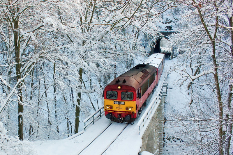 snow, 1080P, train, trees, tunnel, winter