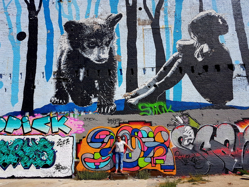 mural, graffiti, graffitti, multi colored, art and craft, nijmegen, built structure, mammal, diverse, street art, colorful, view, text, netherlands, bear