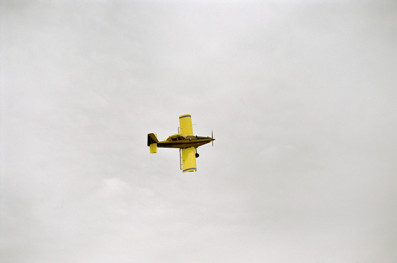 low angle view, duster, air vehicle, mode of transportation, film, nature, travel, airplane, aerobatics, plane, delta, 5K, finch, mid-air, on the move