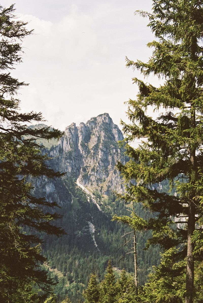 cloudy, peak, hiking, photo, summer, nature, forest, green Color, natural, woodland, portra, national Landmark, habitat, highland, 4K, rock - Object, rock