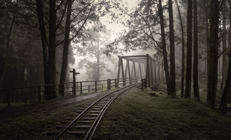 bridge, trees, 1080P, nature, railway