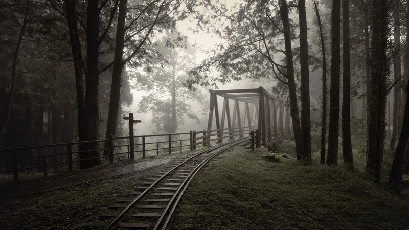 rail transportation, nature, fence, plant, growth, outdoors, trunk, railroad track, day, 1080P, wood, grass, land, no people, mist, track, forest, bridge
