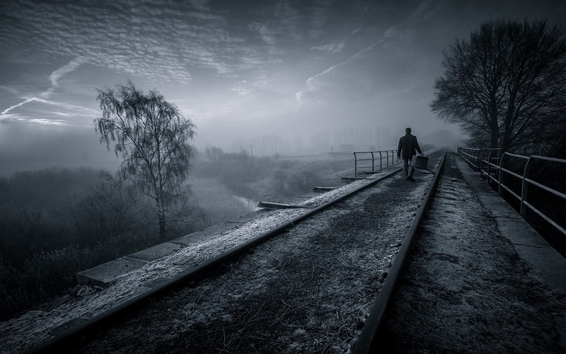 rear view, trees, men, tree, mist, transportation, the way forward, 720P, nature, outdoors, railway, sky, one person, tranquility, bridge, monochrome