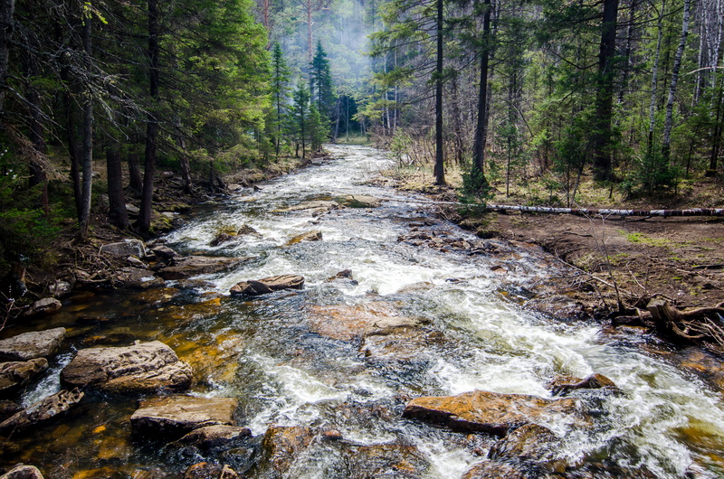 motion, flowing water, tranquil scene, woodland, 4K, river, day, russia, spring, fog, flowing, land, plant, scenics - nature, downloading, growth, discover