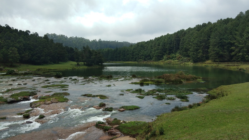 beautiful, tree, nature, no people, flowing, plant, cloud - sky, water, forest, tranquil scene, growth, beauty in nature, lake, tranquility, day, india