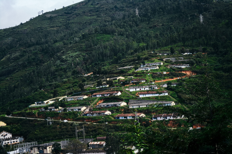 5K, outdoors, built structure, travel, high angle view, building, tree, landscape, growth, green, beauty in nature, ooty, forest, no people, city, nature