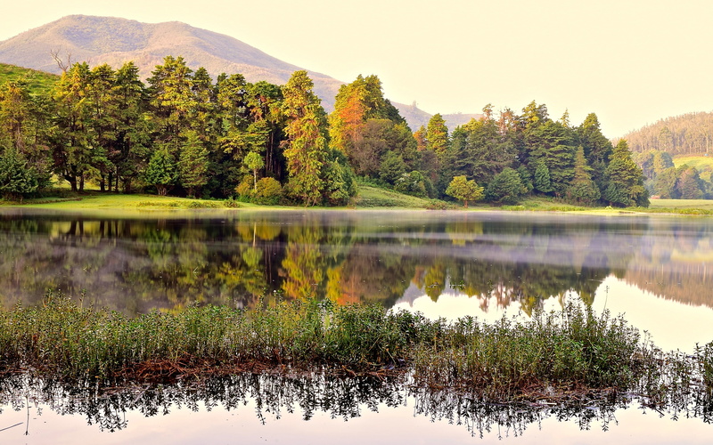 autumn, reflections, outdoors, waterfront, reflection lake, india, tranquility, tranquil scene, 4K, ooty, dawn, beauty in nature, scenics - nature, change