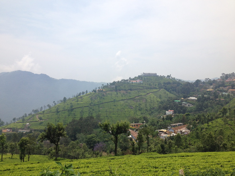 mountain, rural scene, outdoors, Ooty, no people, nature, tree, tranquility, 2K, India, field, agriculture, scenics - nature, plant, land, Tea Plantations