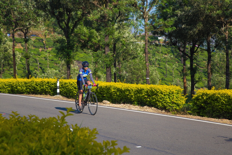 mode of transportation, 5K, growth, day, one person, road, transportation, cyclist, lifestyles, land vehicle, tea garden, real people, green color, helmet