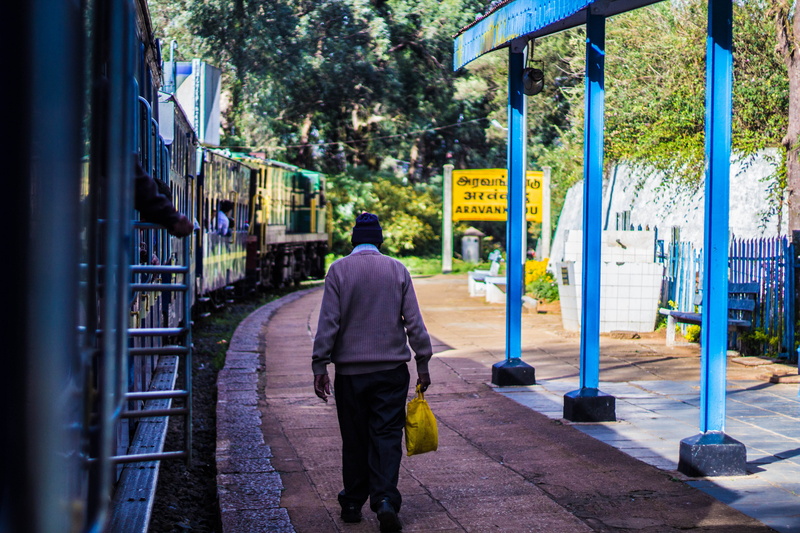 architecture, real people, lifestyles, street, nature, the way forward, footpath, tree, one person, uniform, walking, ooty, plant, rear view, hiils, building exterior
