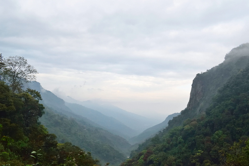 fog, hills, environment, plant, tranquility, non-urban scene, tree, mountain, day, no people, cloud - sky, mountain range, sky, landscape, scenics - nature